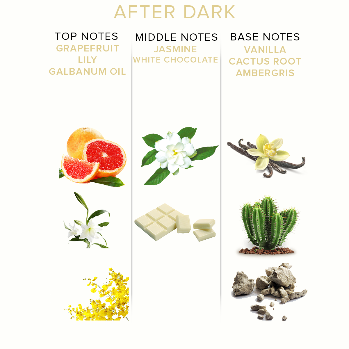 After Dark Pheromone Parfum Deluxe Size