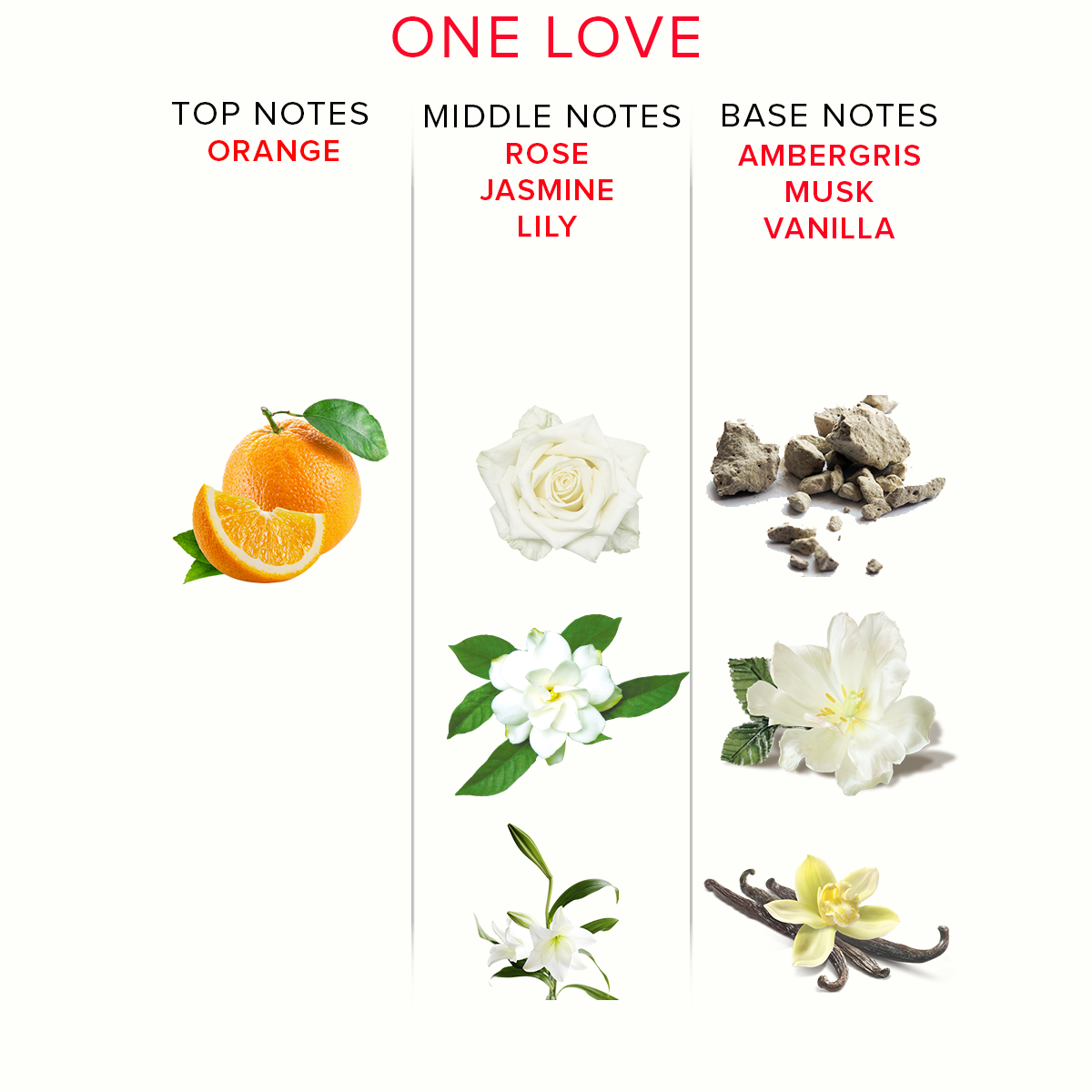 One Love Pheromon Parfüm – elegante Duftkomposition für Frauen bei RaiX Shop